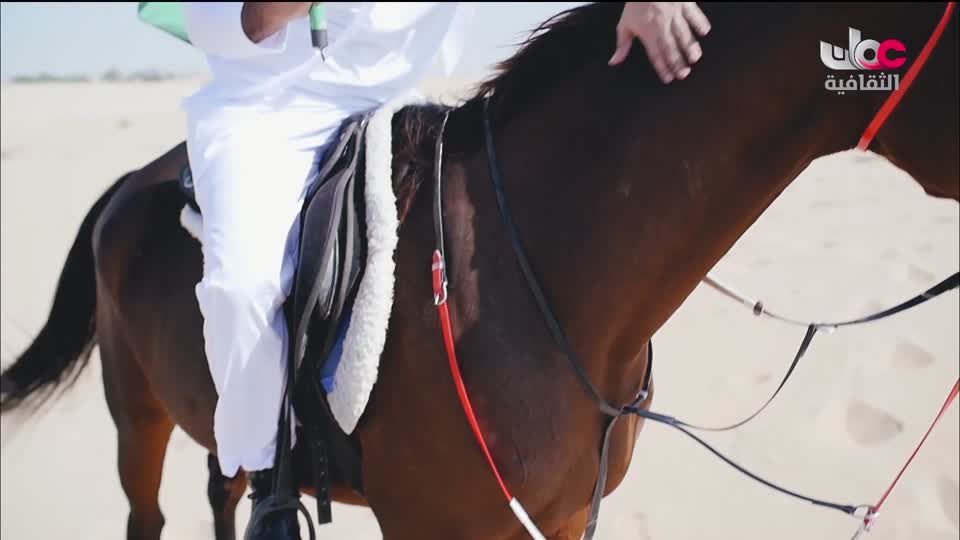 برنامج - كنوز الصحراء - الحلقة 10