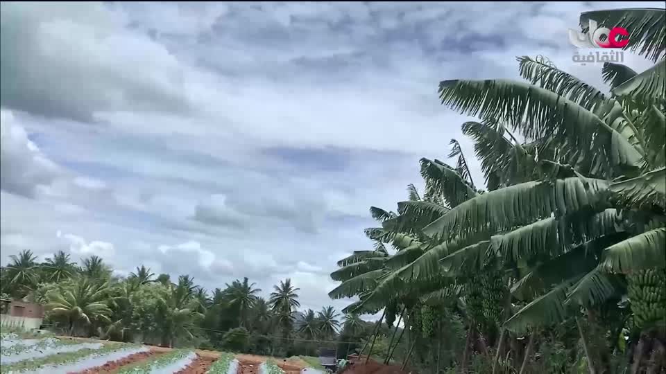 برنامج - أنا البحر - الحلقة 6