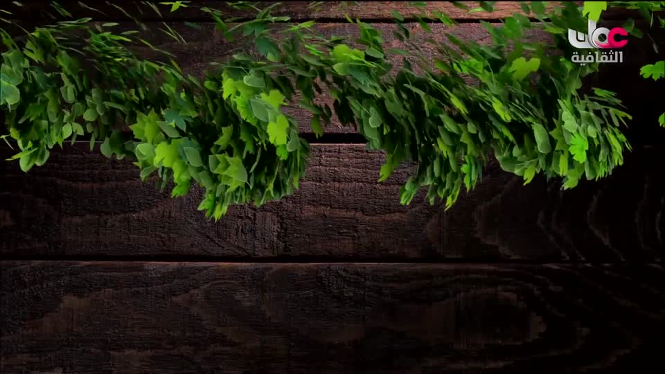 البرنامج الثقافي أرض ونار - تطور فن الطبخ - الحلقة 6