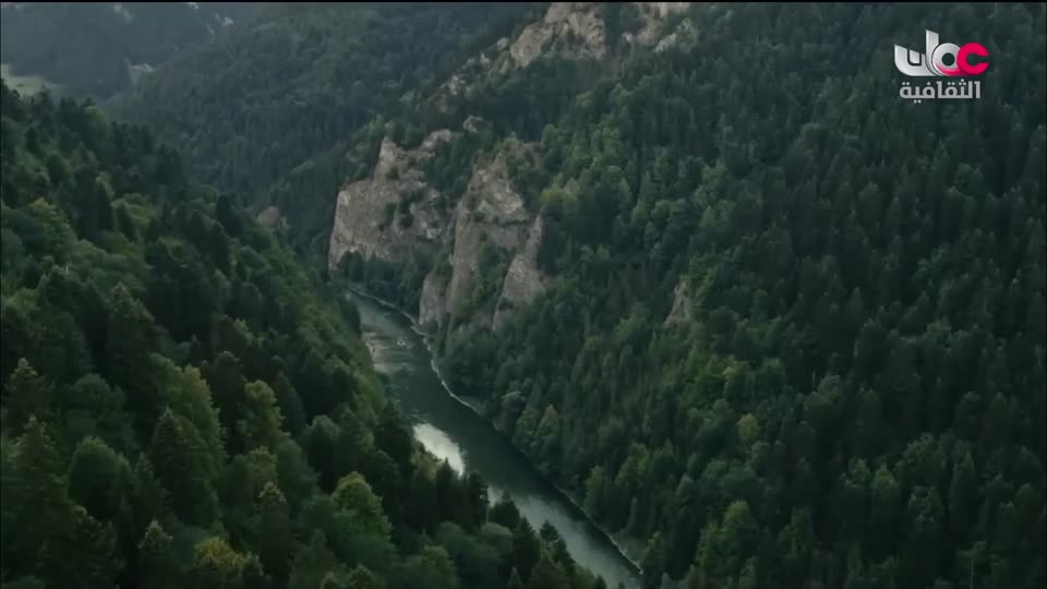 البرنامج الوثائقي - عالم الأفلام - الحلقة 36