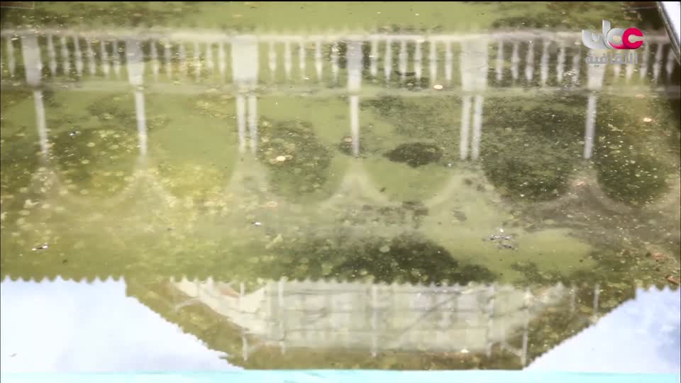 البرنامج الثقافي الآثار الاسلامية في الأندلس