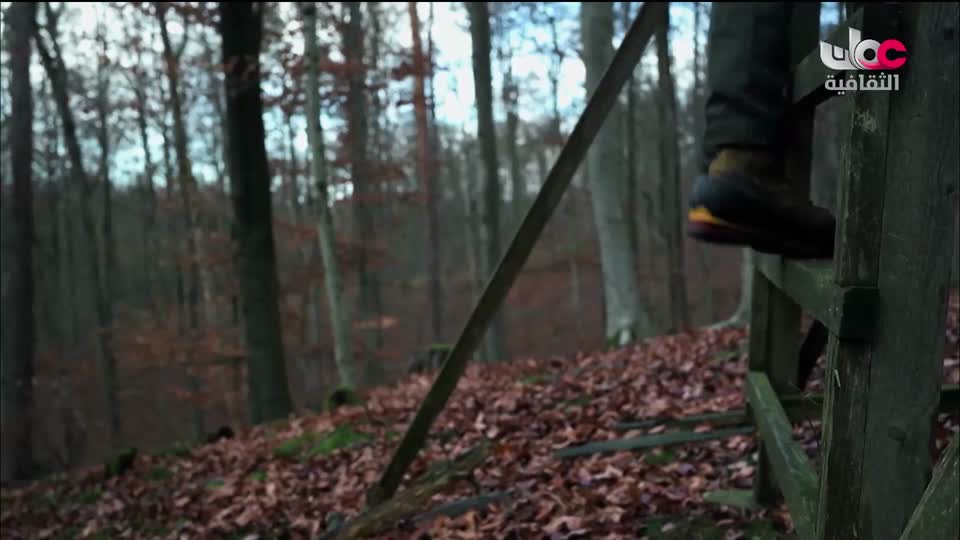 البرنامج الثقافي - رحلة الاستكشاف - 2026 - الحلقة 27