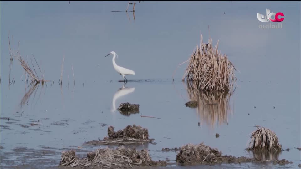 البرنامج الثقافي - إرث حضارة - الحلقة 7