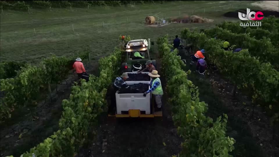 برنامج - فيتامينات - الحلقة 108