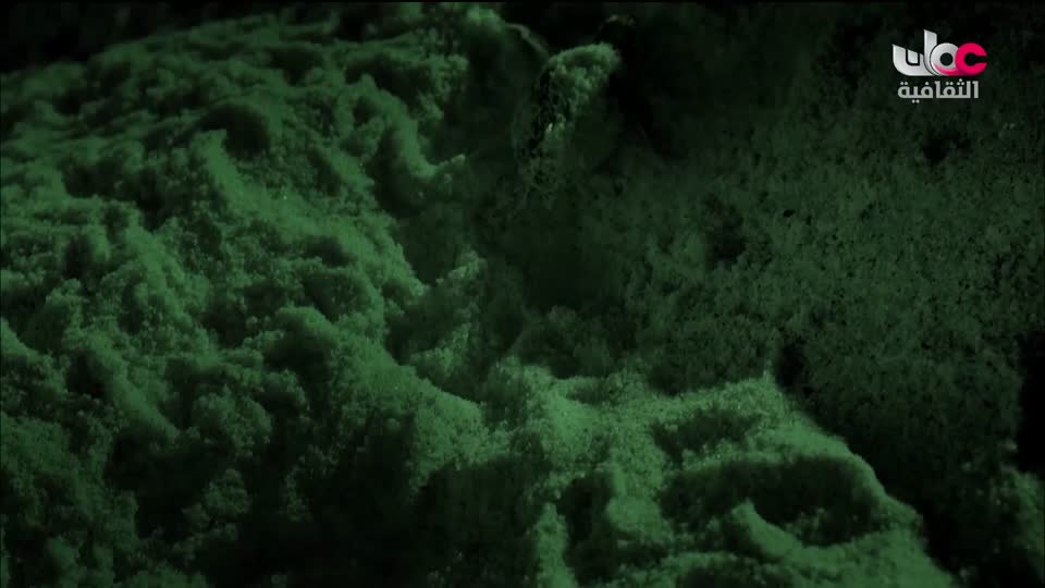 أغاني مفرغة - موشحات - لمركز عمان للموسيقى التقليدية - الحلقة 2