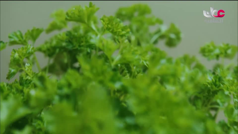 برنامج - فيتامينات - الحلقة 135