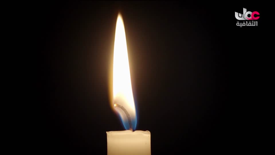 البرنامج الثقافي - عالم الأشجار