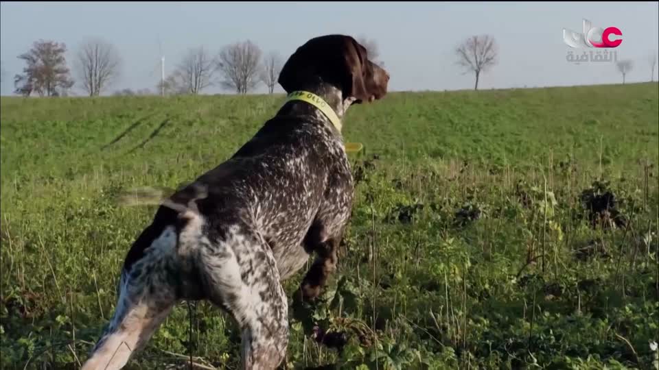 البرنامج الثقافي - رحلة الاستكشاف - 2026 - الحلقة 28