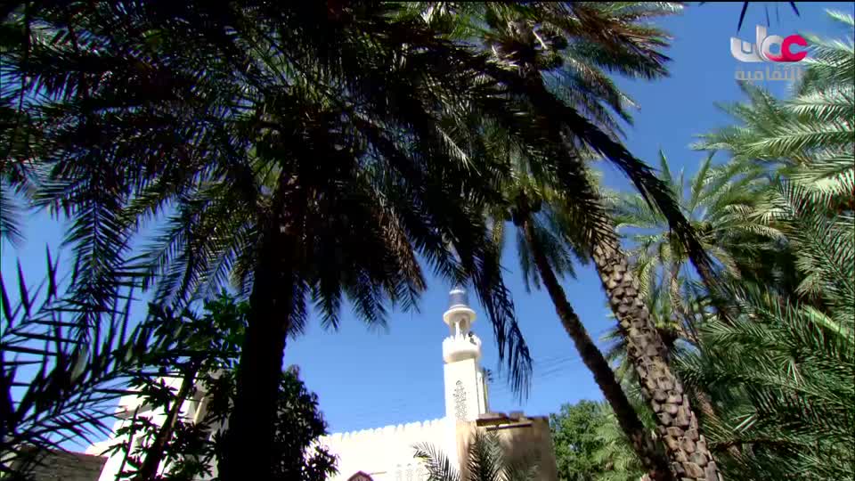 برنامج _ البوصلة - الحلقة 8