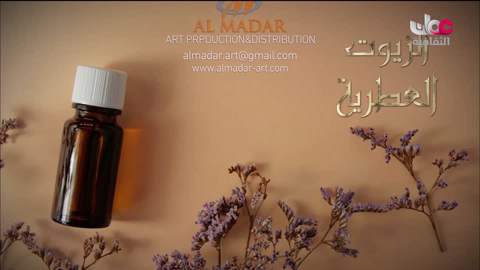 البرنامج الوثائقي - عالم الأفلام - الحلقة 38