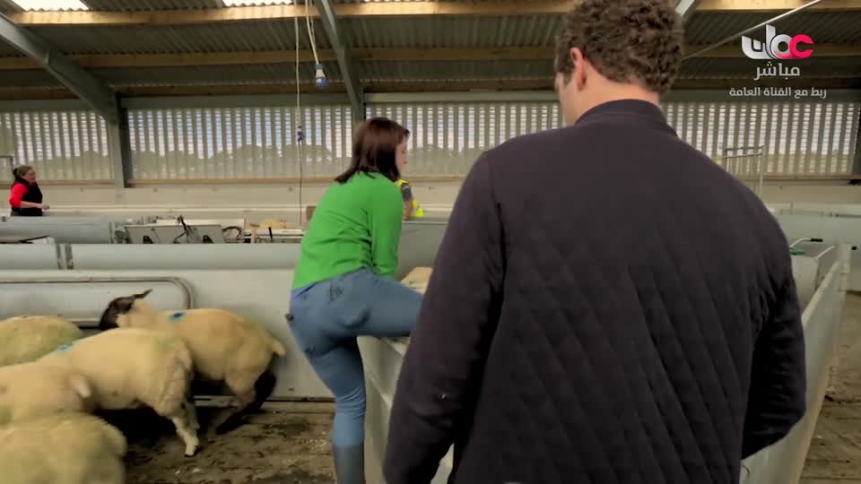 عالم اكثر اخضرارا