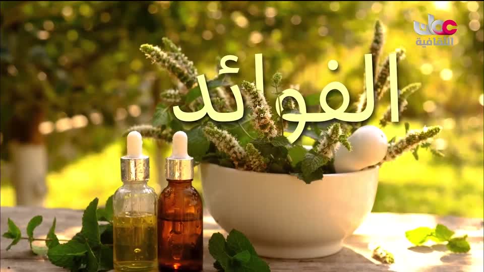 البرنامج الثقافي - زيوت عطرية - الحلقة 9