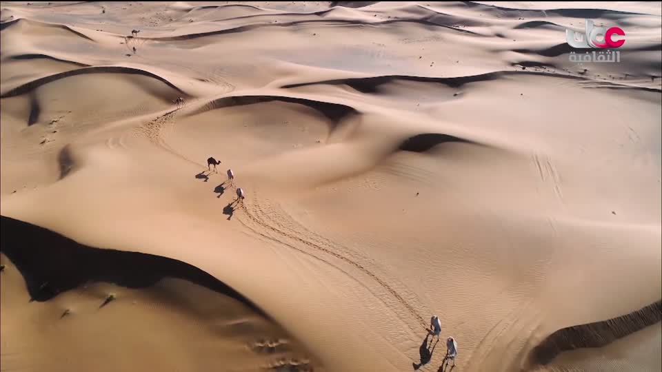 برنامج - كنوز الصحراء - الحلقة 13