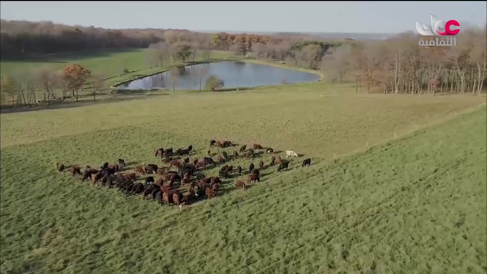 برنامج / أغاني مفرغة - موشحات - مركز عمان للموسيقى