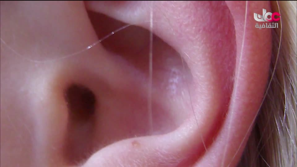 البرنامج الثقافي داخل العقل - الحلقة 19