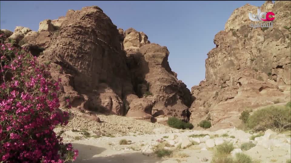 البرنامج الثقافي البحث عن المعرفة - ج6 - الحلقة 2