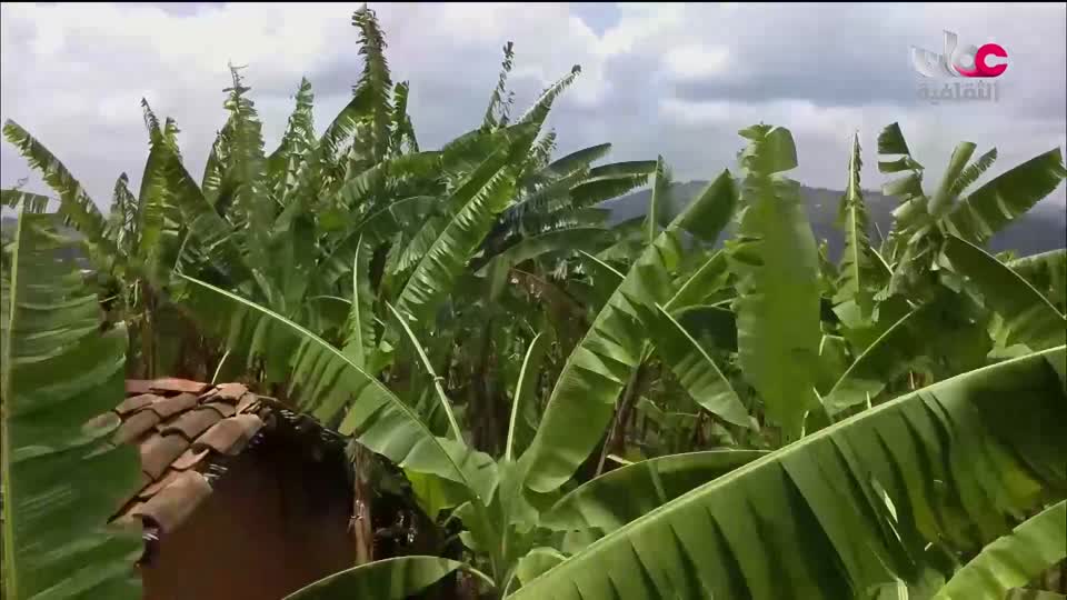 برنامج _ رحلة المخطوط العربي _ج2 - الحلقة 9