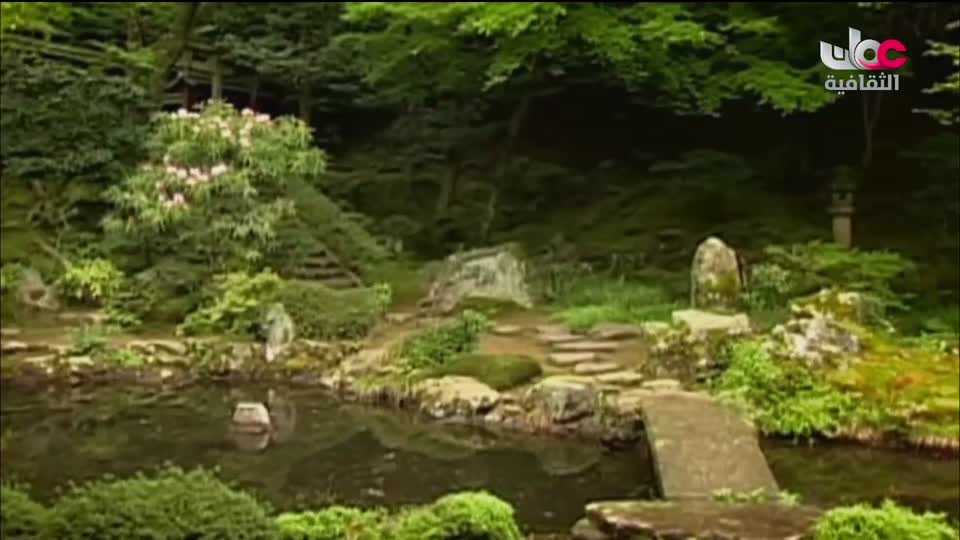 برنامج - فيتامينات - الحلقة 137