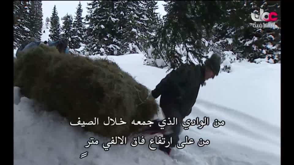 بحيرات وجبال - الحلقة 11