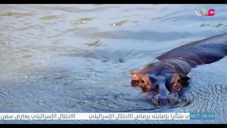 المسلسل الخليجي - قلم رصاص - الحلقة 9