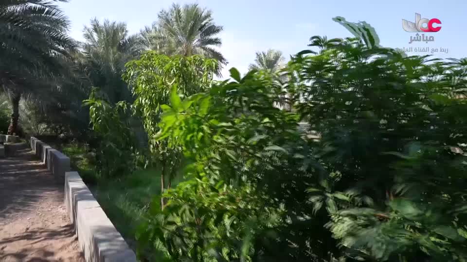 برنامج نبت جنان - الحلقة 14