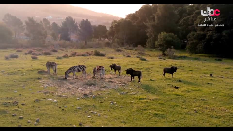 اذان العصر