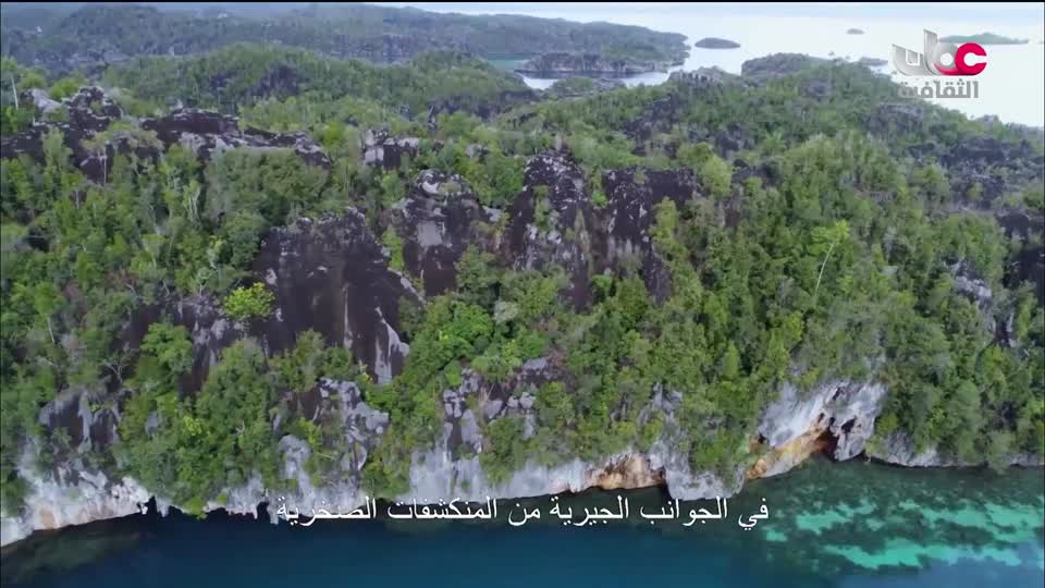 البرنامج الثقافي - العالم لك - الحلقة 43