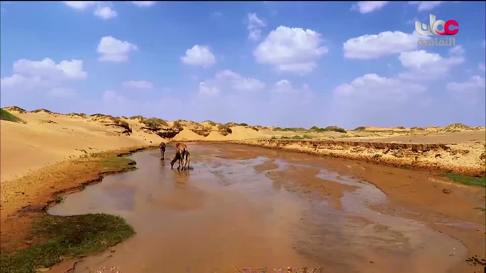 البرنامج الثقافي رحلة اكتشاف وتطور - الحلقة 13