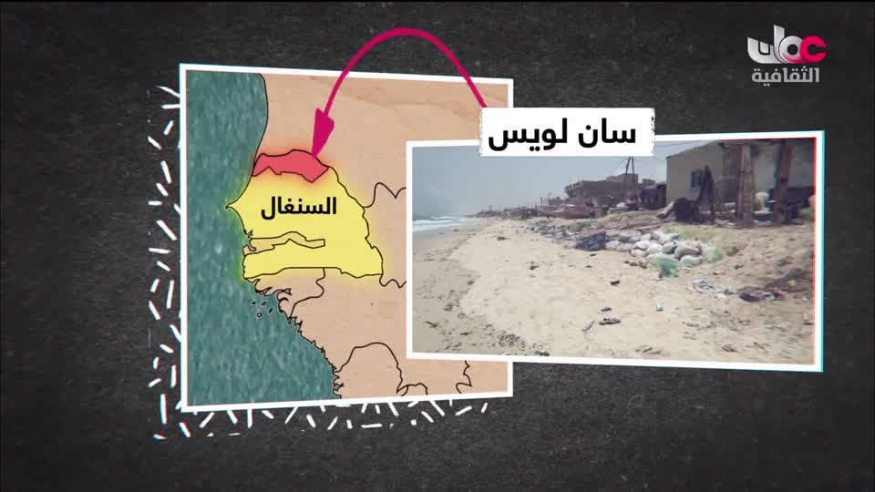 البرنامج الثقافي - عالم الأشجار