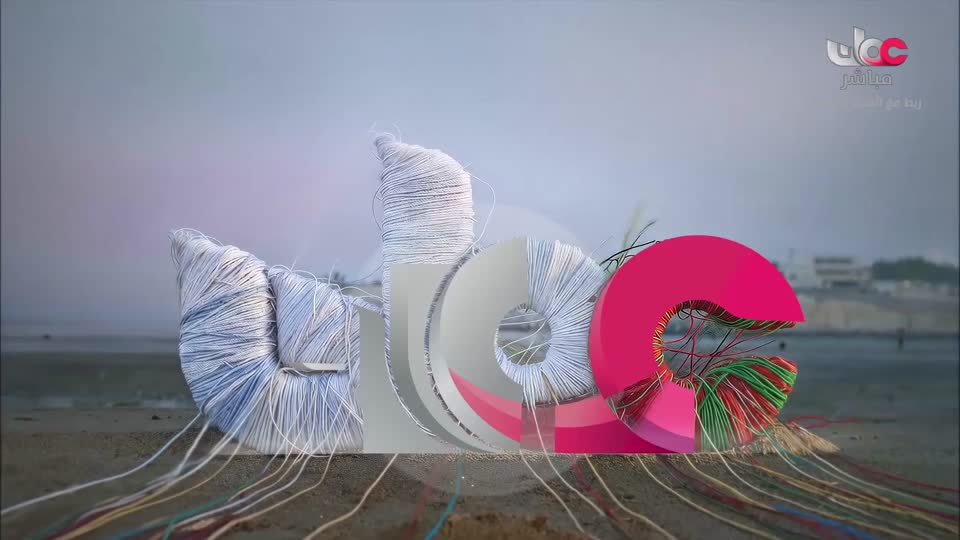 مسلسل الاطفال فريق الحماية - الحلقة 14