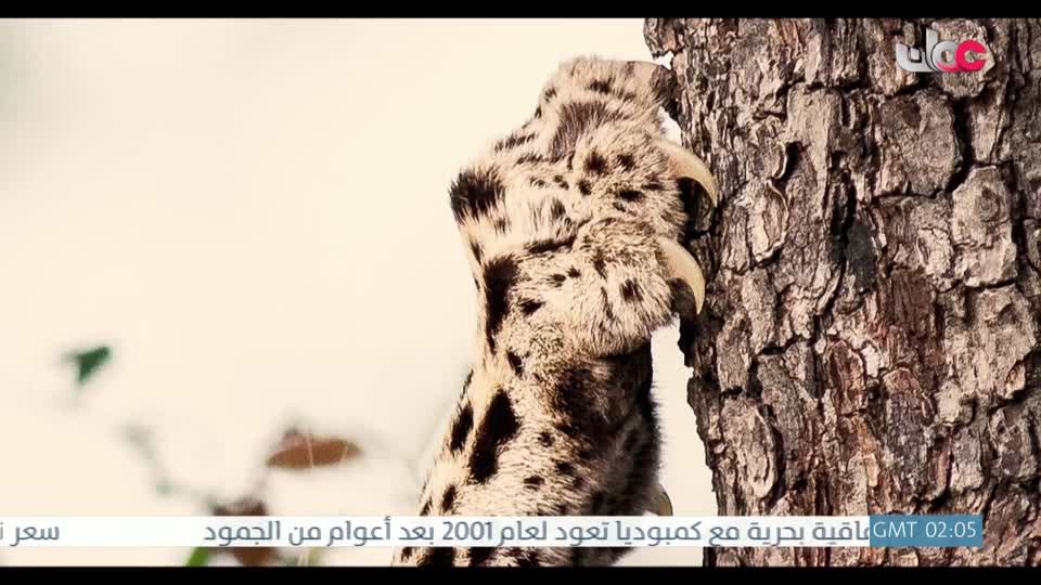 المسلسل الخليجي - قلم رصاص - الحلقة 14