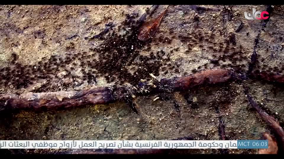 المسلسل الخليجي - قلم رصاص - الحلقة 16