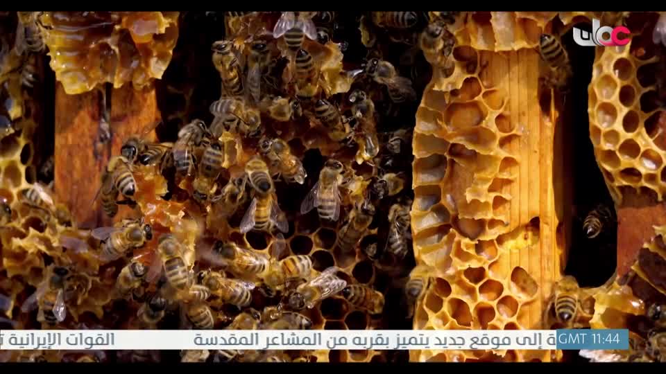 اذان العصر