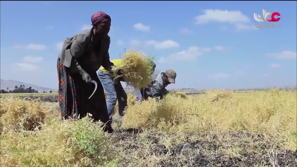 الزراعة من اجل الكوكب - الحلقة 8
