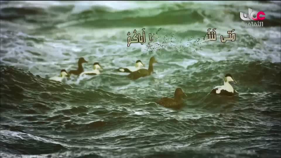 البرنامج الثقافي طرقات وعرة - الحلقة 10