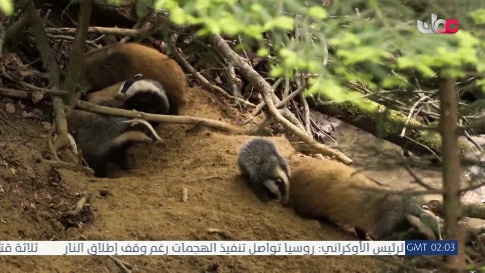 المسلسل الخليجي - قلم رصاص - الحلقة 20