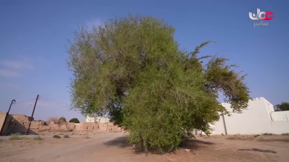 برنامج نبت جنان - الحلقة 25