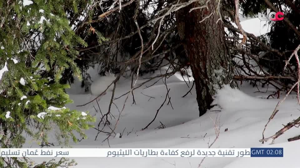 المسلسل الخليجي - قلم رصاص - الحلقة 21
