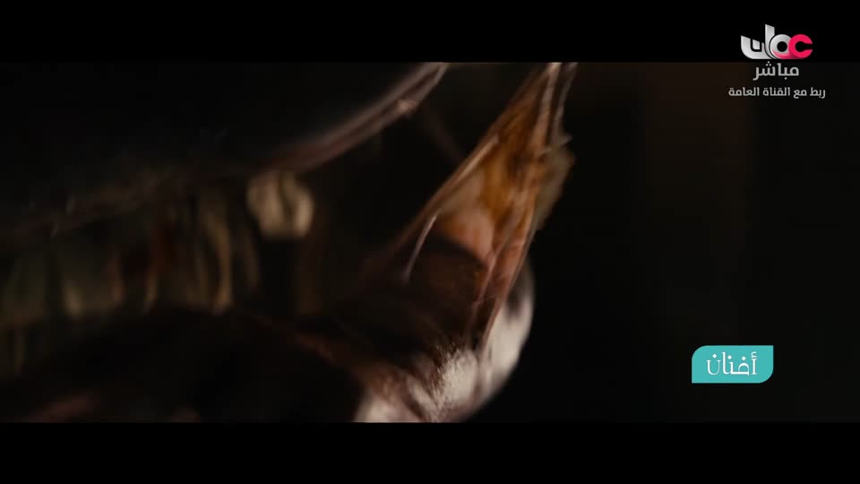 أفنان