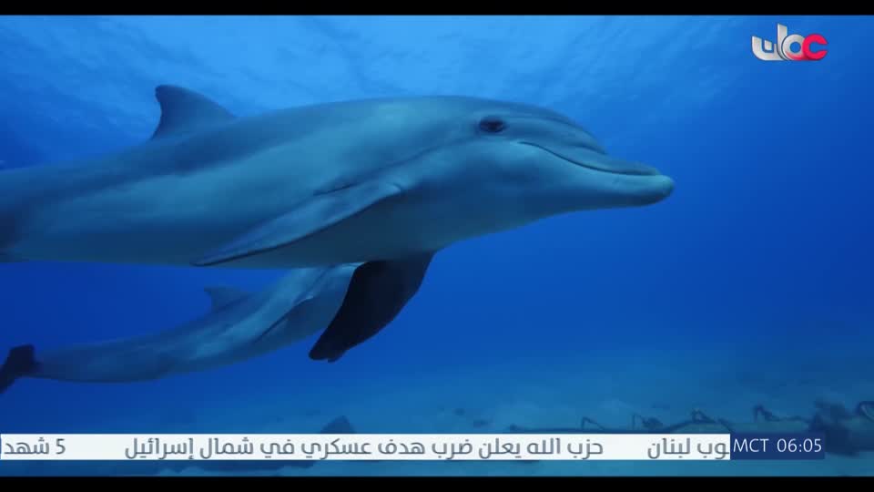 المسلسل الخليجي - قلم رصاص - الحلقة 27