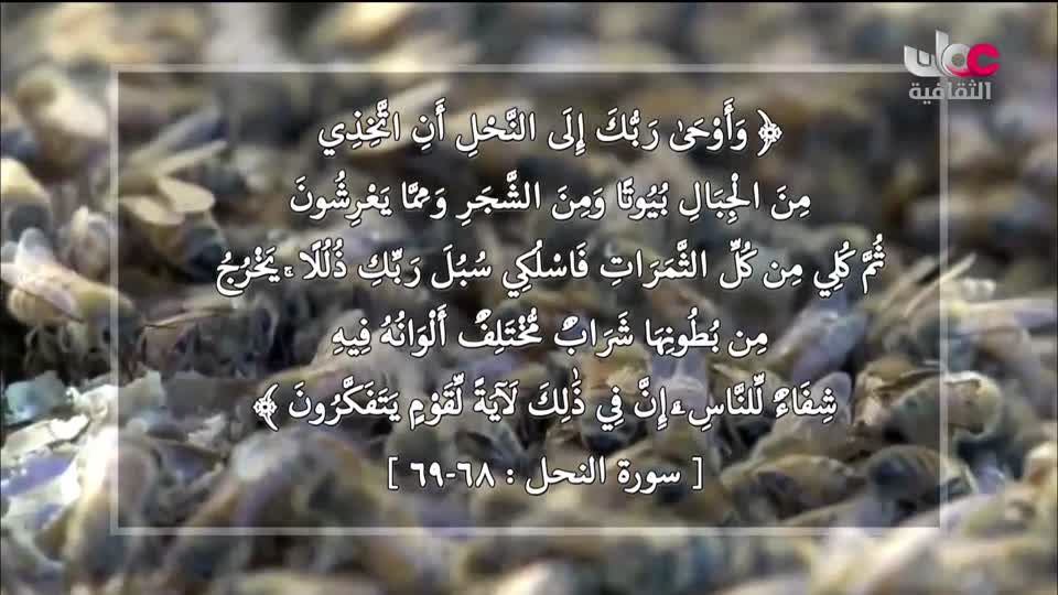 برنامج _ حارات - الحلقة 18