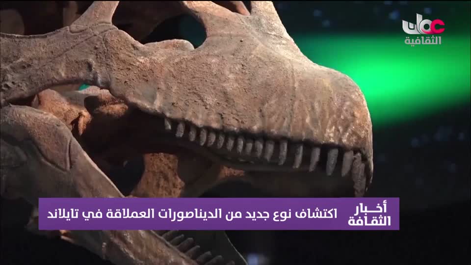أخبار الثقافة - الثلاثاء 19 مايو 2026م