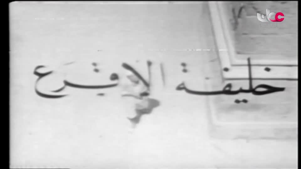 برنامج / وصلة