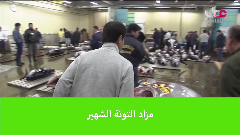 البرنامج الثقافي البحث عن المعرفة - ج8 - الحلقة 10