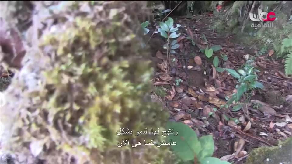 افضل عشرة فنون معمارية في العالم - الحلقة 1