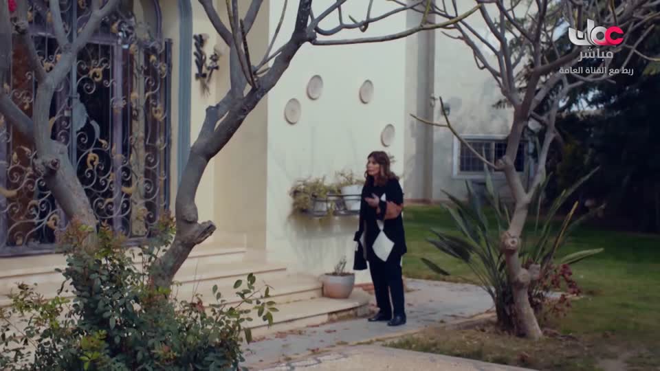 عملة نادرة