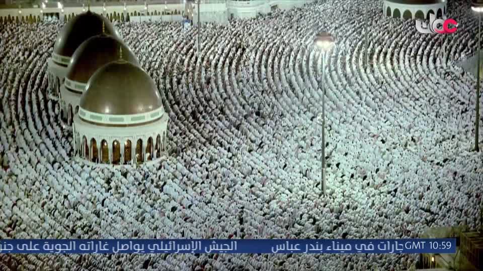 تقنيات حيوانية