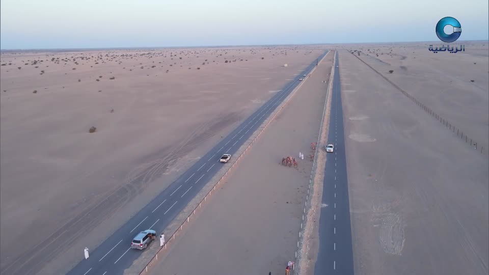 السباق الختامي لسباقات الخيل الأهلية لموسم 2025 - 2026