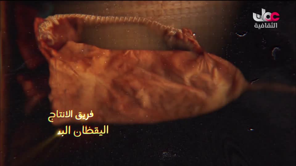 سلسلة أفلام وثائقية - أسوار