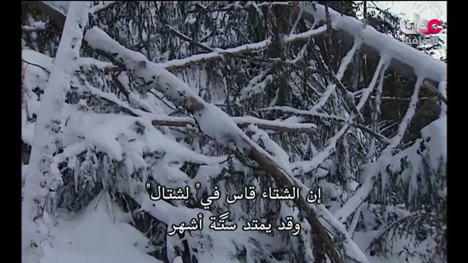 البرنامج الثقافي - كنور غارقة